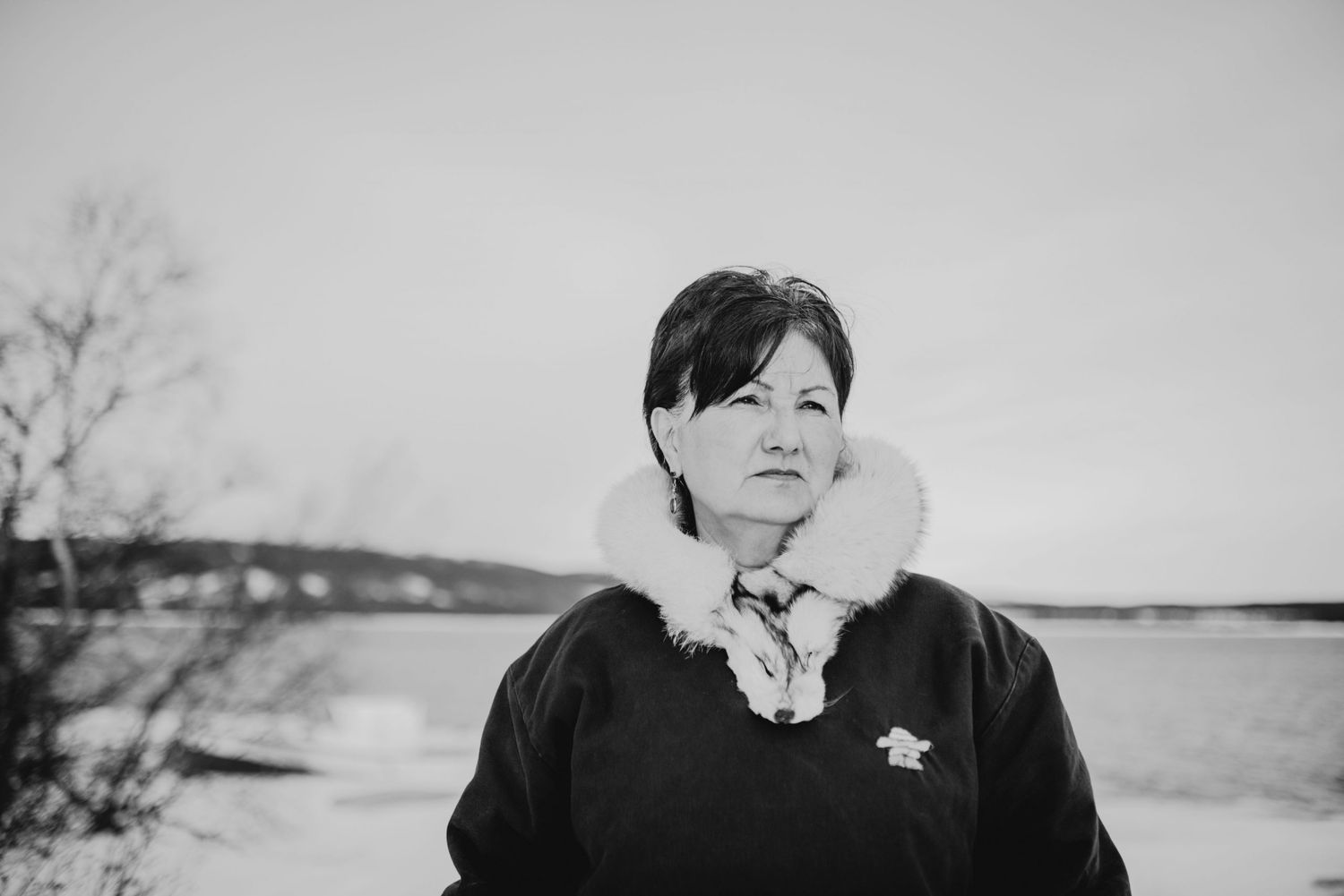 MarjorieFlowers_Labrador-Land-Protector_Labrador_Photo-Credit-Stasia-Garraway-scaled_resize