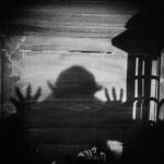 nos_pub_07_vampire_shadow_frame_9464953796_o