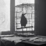 January (Bulldog Film Distribution) (6)_resize