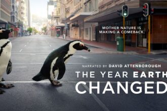 Apple TV+ celebrates Earth Day with slate of award-winning programming for the entire family, featuring inspiring stories about our extraordinary planet