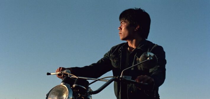 Slaughter in San Francisco