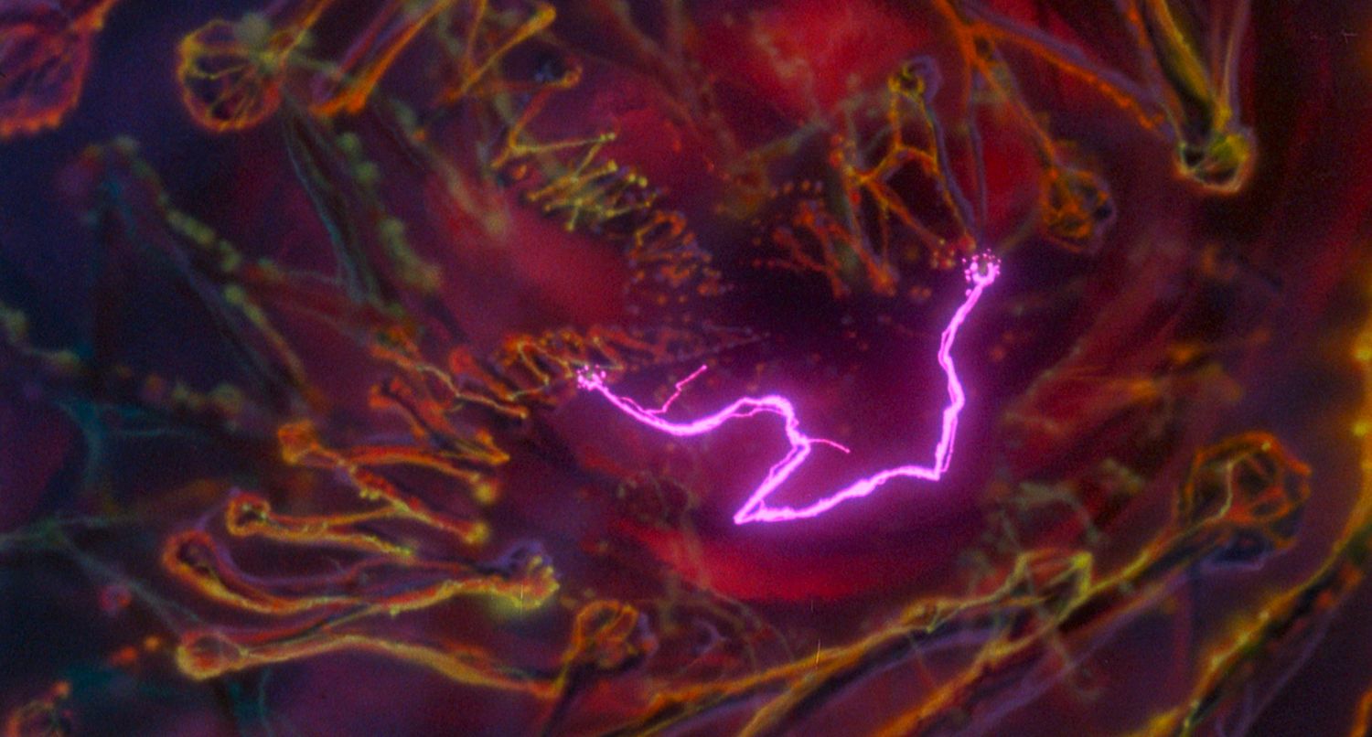 secretofnimh_feature_texted_mgm_bd_185_1080_2398_prores422hq_eng_2ch00_52_30_09still013_53992087580_o_resize