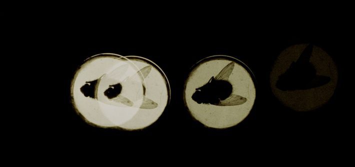 Four Flies on Grey Velvet is out on separate 4K UHD and Blu-ray releases this April