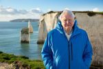 Ocean with David Attenborough passes 3 million Euros at the Global Box Office