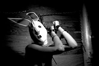 The Bunny Game gets a US Release