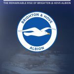 Stand or Fall: The Remarkable Rise of Brighton & Hove Albion