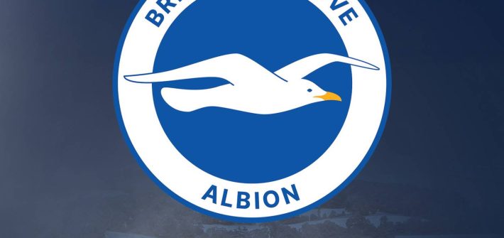 Stand or Fall: The Remarkable Rise of Brighton & Hove Albion