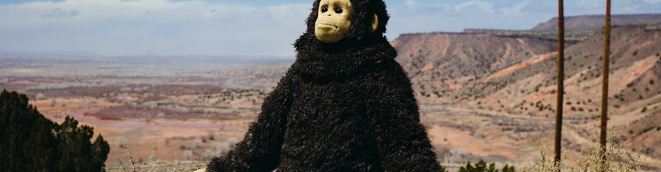 Sunlight is coming to UK cinemas this October