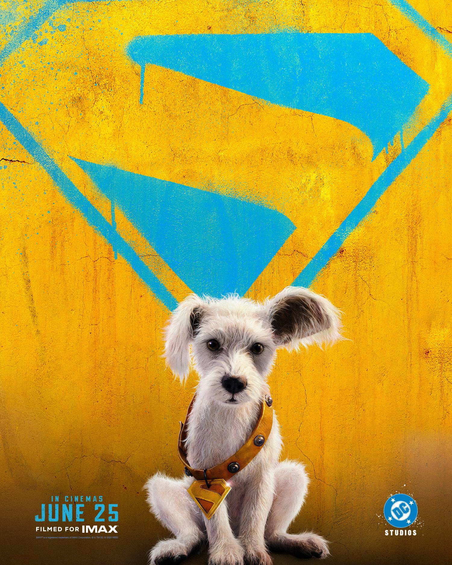 GB_SPRGRL_INSTA_VERT_Character_KRYPTO_1638x2048_INTL_resize