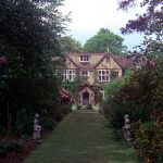 View image
